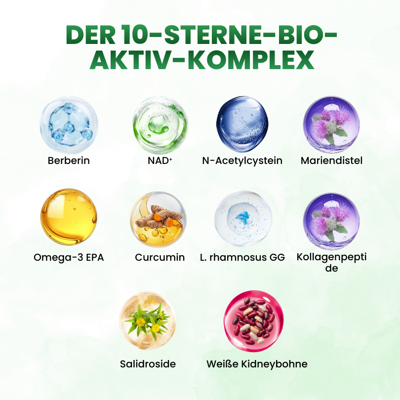 Timilk® SculptAura Moringa . Berberin + NAD+ 10-in-1 Nano-Mikronadel-Patch