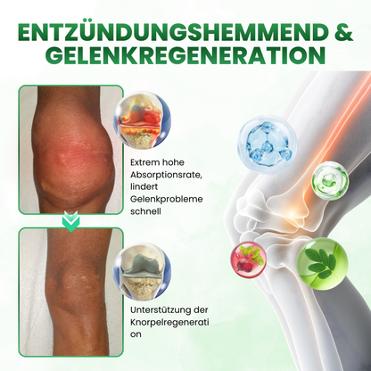 Timilk® SculptAura Moringa . Berberin + NAD+ 10-in-1 Nano-Mikronadel-Patch