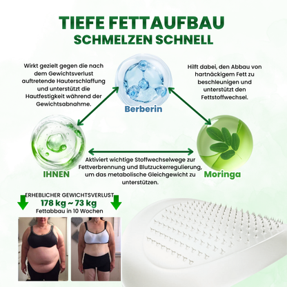 Timilk® SculptAura Moringa . Berberin + NAD+ 10-in-1 Nano-Mikronadel-Patch