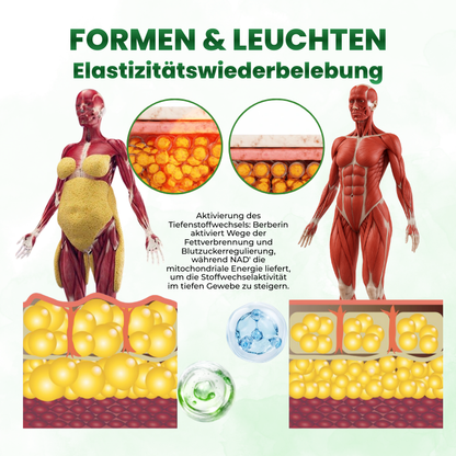 Timilk® SculptAura Moringa . Berberin + NAD+ 10-in-1 Nano-Mikronadel-Patch