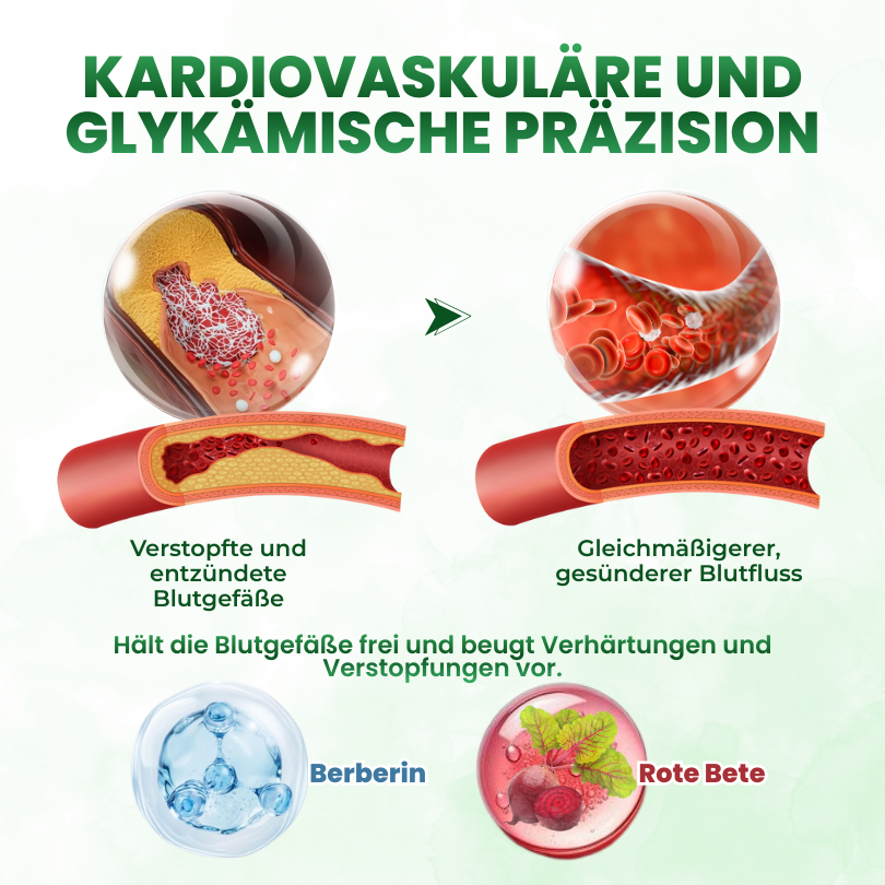 Timilk® SculptAura Moringa . Berberin + NAD+ 10-in-1 Nano-Mikronadel-Patch